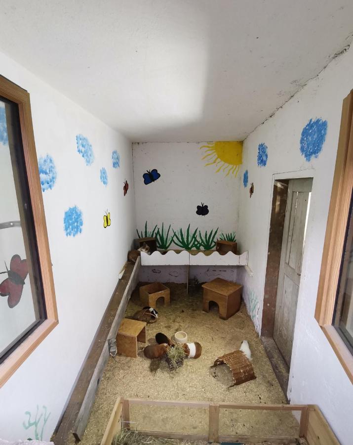 Hartl Hof Lägenhet Breitenberg  Exteriör bild